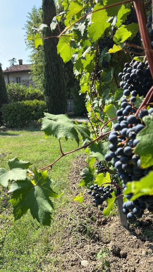 Gabriele Country House Desenzano del Garda Eksteriør billede